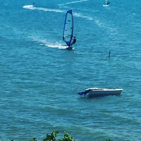 Danica Daire Ljubač