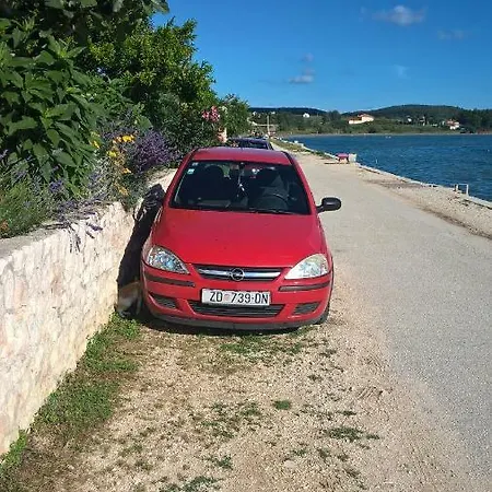 Danica *