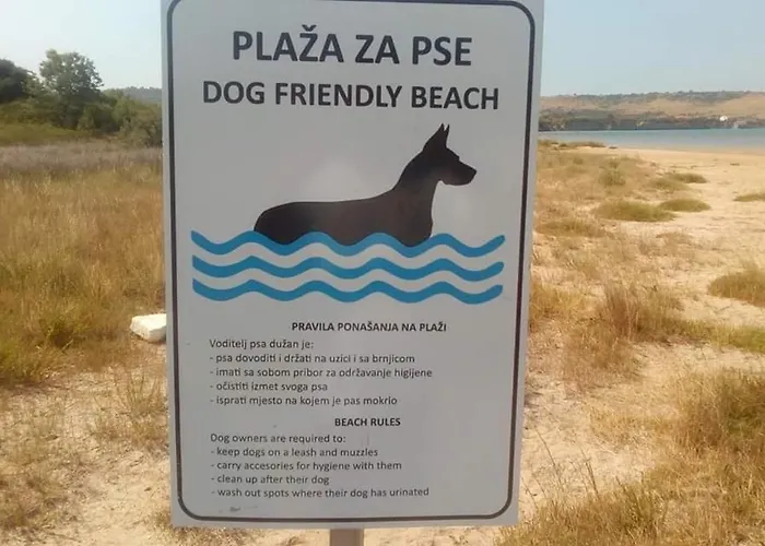 Danica * Ljubac (Zadar)